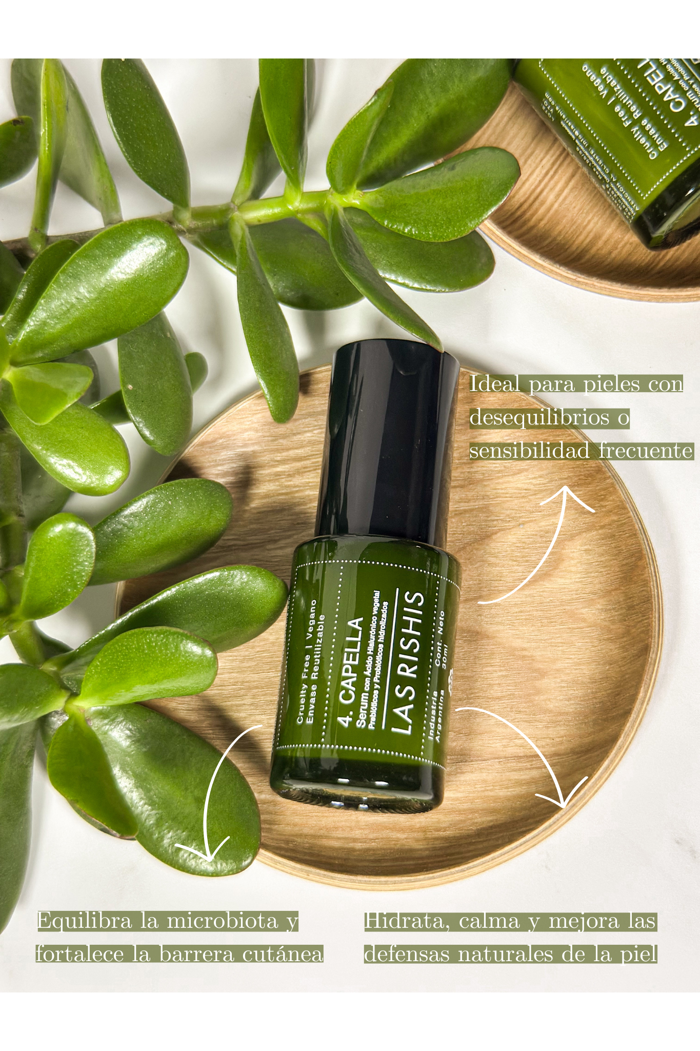 Serum Capella